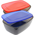Youngever 2 Pack Large Food Storage Container Boxes - Reusable Plastic Meal Prep Containers