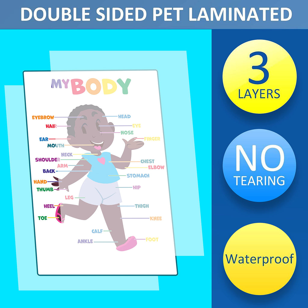 Youngever 12 Pack Laminated Educational Preschool Posters for Toddlers & Kids, Learning & Teaching Alphabet ABC Posters