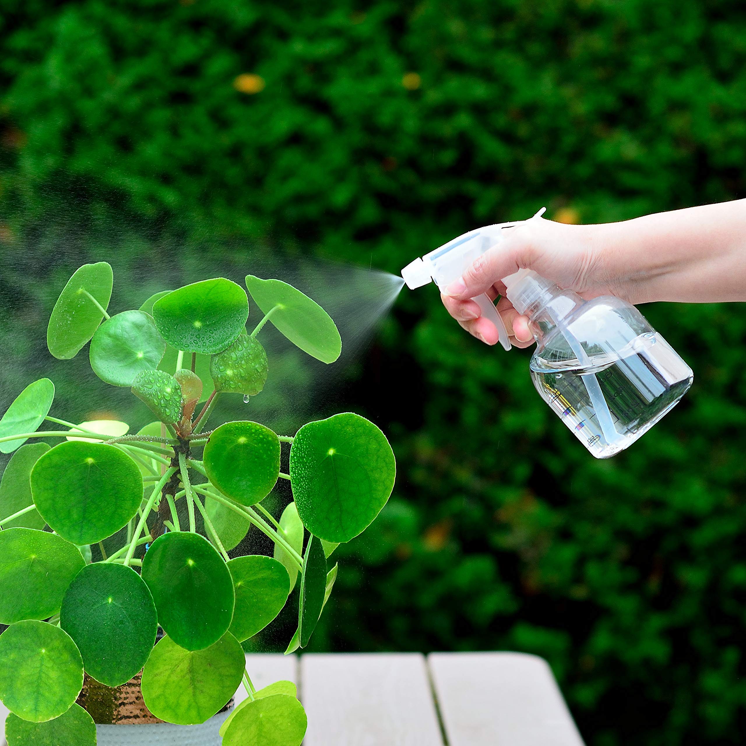 Youngever 6 Pack 16 Ounce Empty Plastic Spray Bottles, Spray Bottles for Hair and Cleaning Solutions