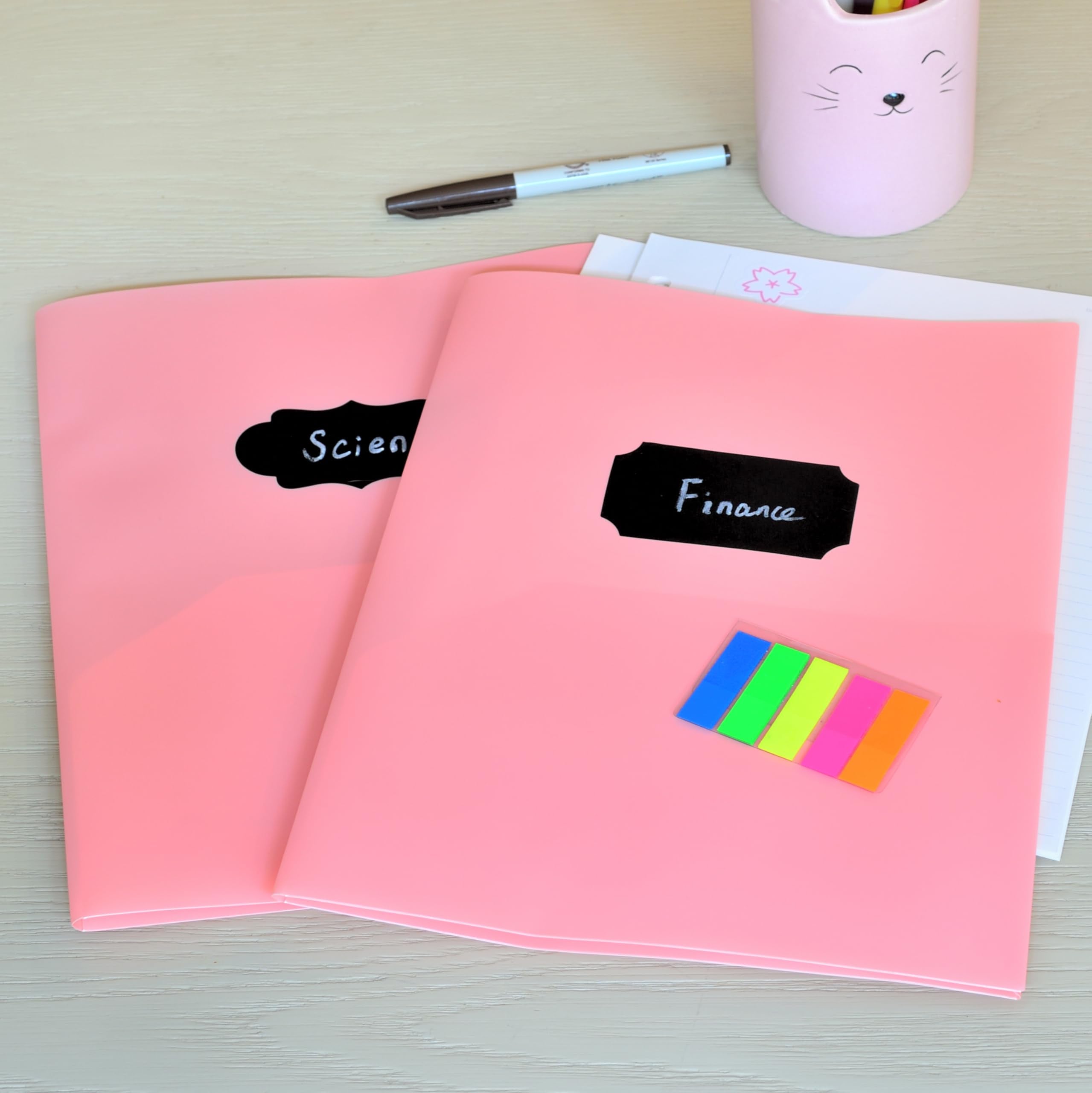 Youngever 6 Pack Heavy Duty Plastic Two Pocket Folders, Heavy Duty Plastic 2 Pocket Folder