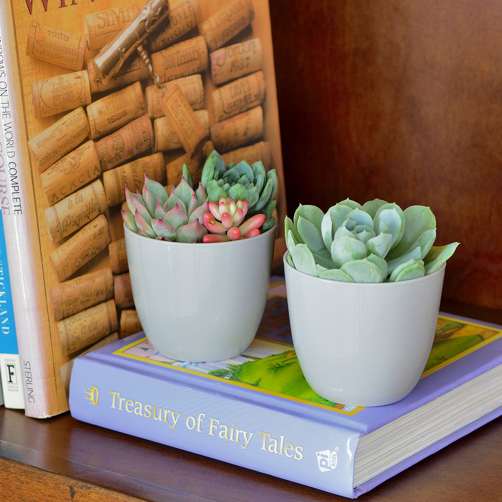 Youngever 10 Pack 3 Inch Mini Plastic Planters Indoor Flower Plant Pots, Grey Gardening Pot with Drainage for All House Plants, Flowers, Herbs, Succulents, NO Plant Included