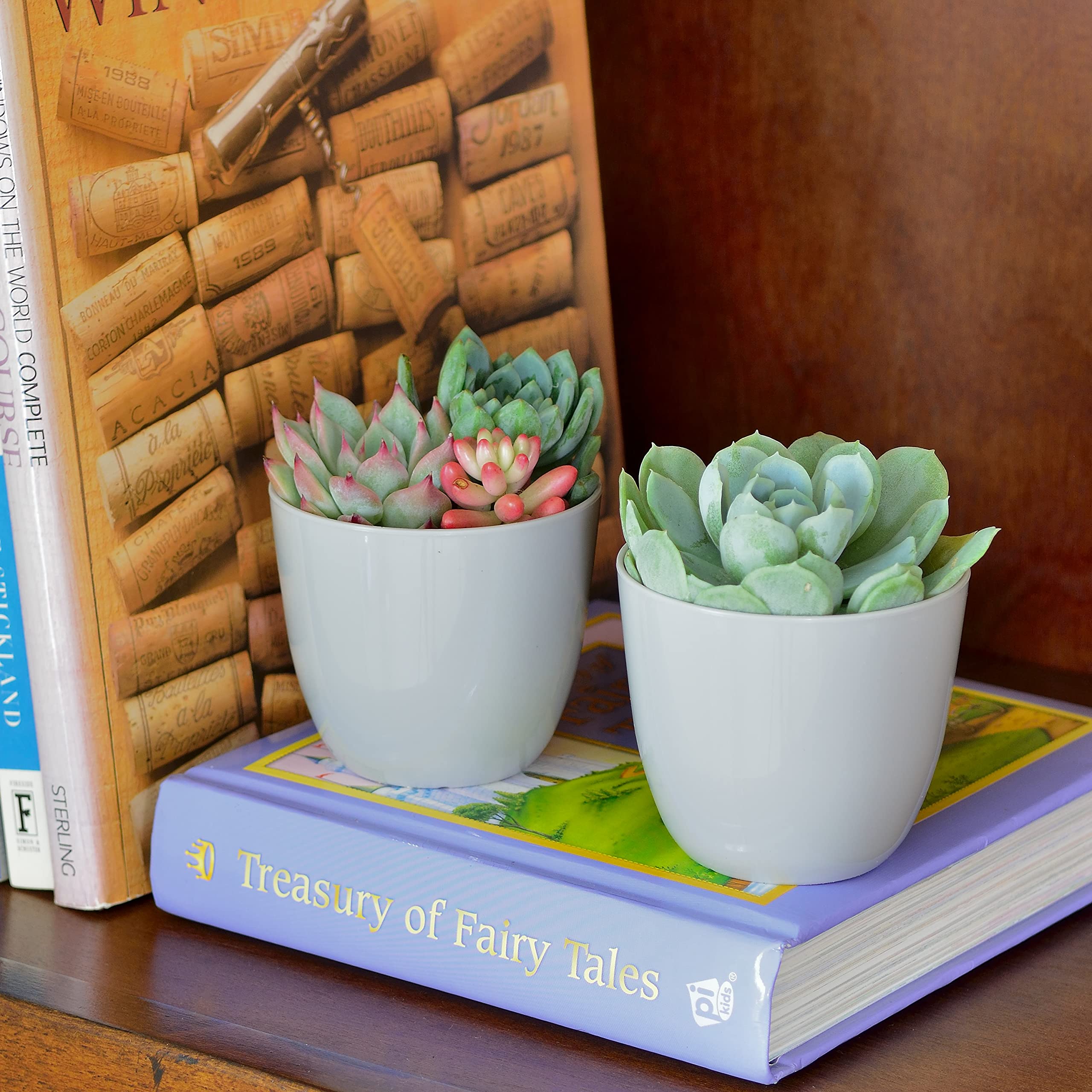 Youngever 10 Pack 3 Inch Mini Plastic Planters Indoor Flower Plant Pots, Grey Gardening Pot with Drainage for All House Plants, Flowers, Herbs, Succulents, NO Plant Included