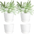 Youngever 4.5 Inch Plastic Planters with Saucers, Indoor Flower Plant Pots, Modern Decorative Gardening Pot with Drainage