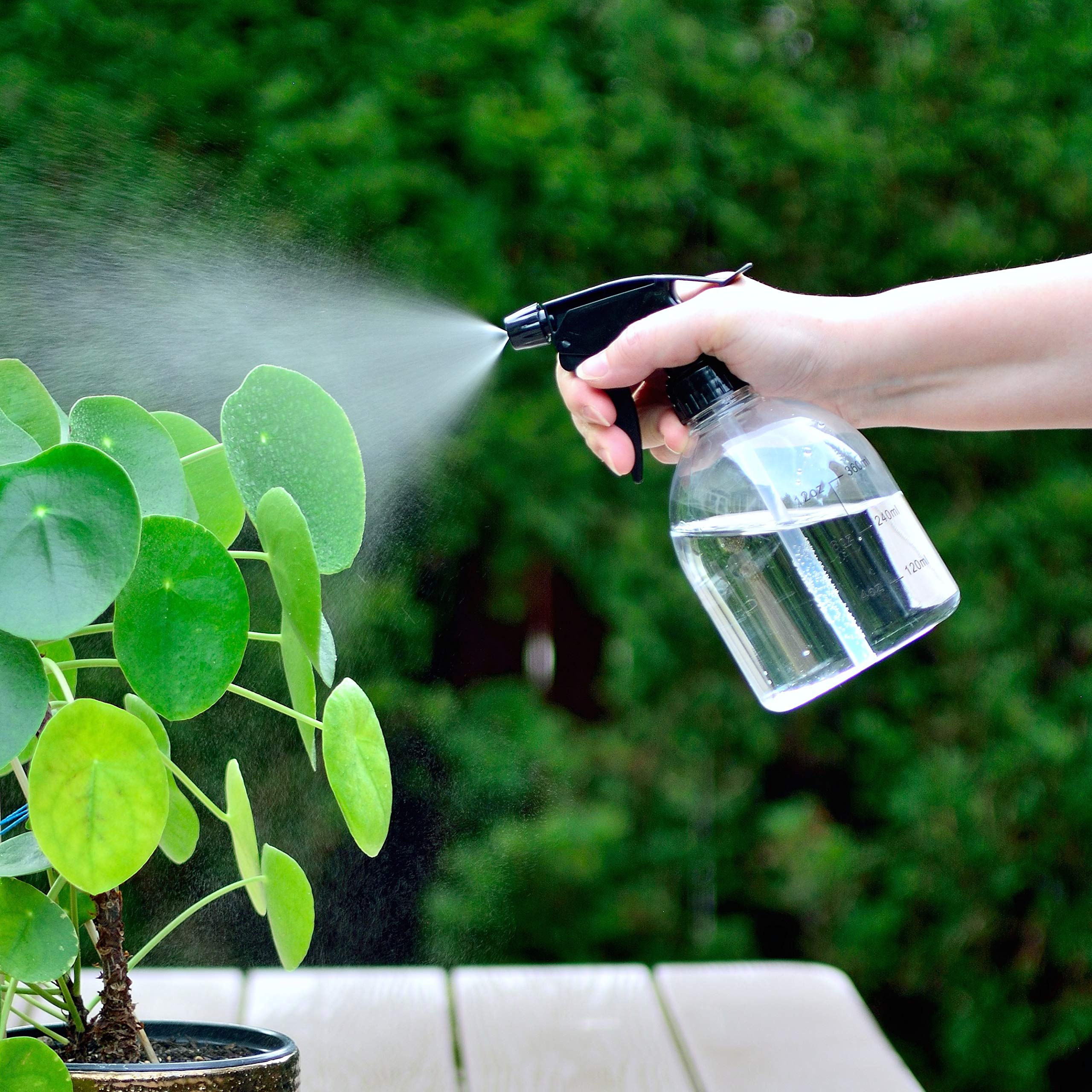 Youngever 6 Pack Empty Plastic Spray Bottles, Spray Bottles for Hair and Cleaning Solutions, 6 Pack 16 Ounce Bottles (3 Clear and 3 Black)