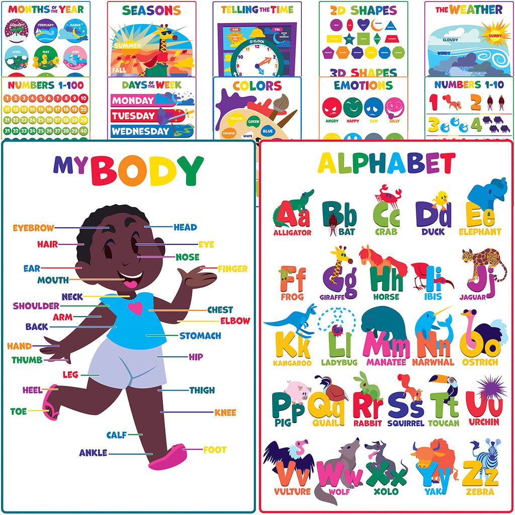 Youngever 12 Pack Laminated Educational Preschool Posters for Toddlers & Kids, Learning & Teaching Alphabet ABC Posters