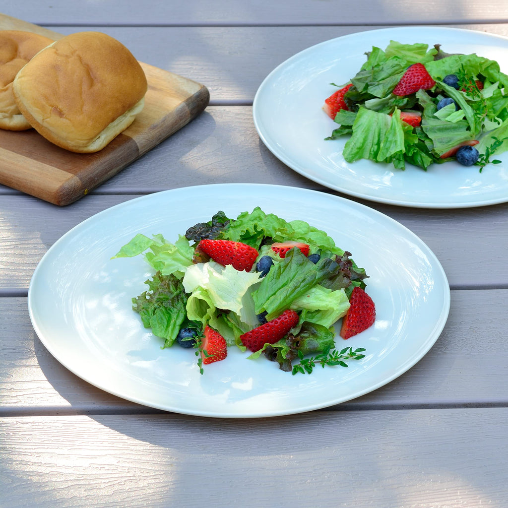 Youngever 10 Inch Plastic Plates, Large Plates, Dinner Plates, Set of 9