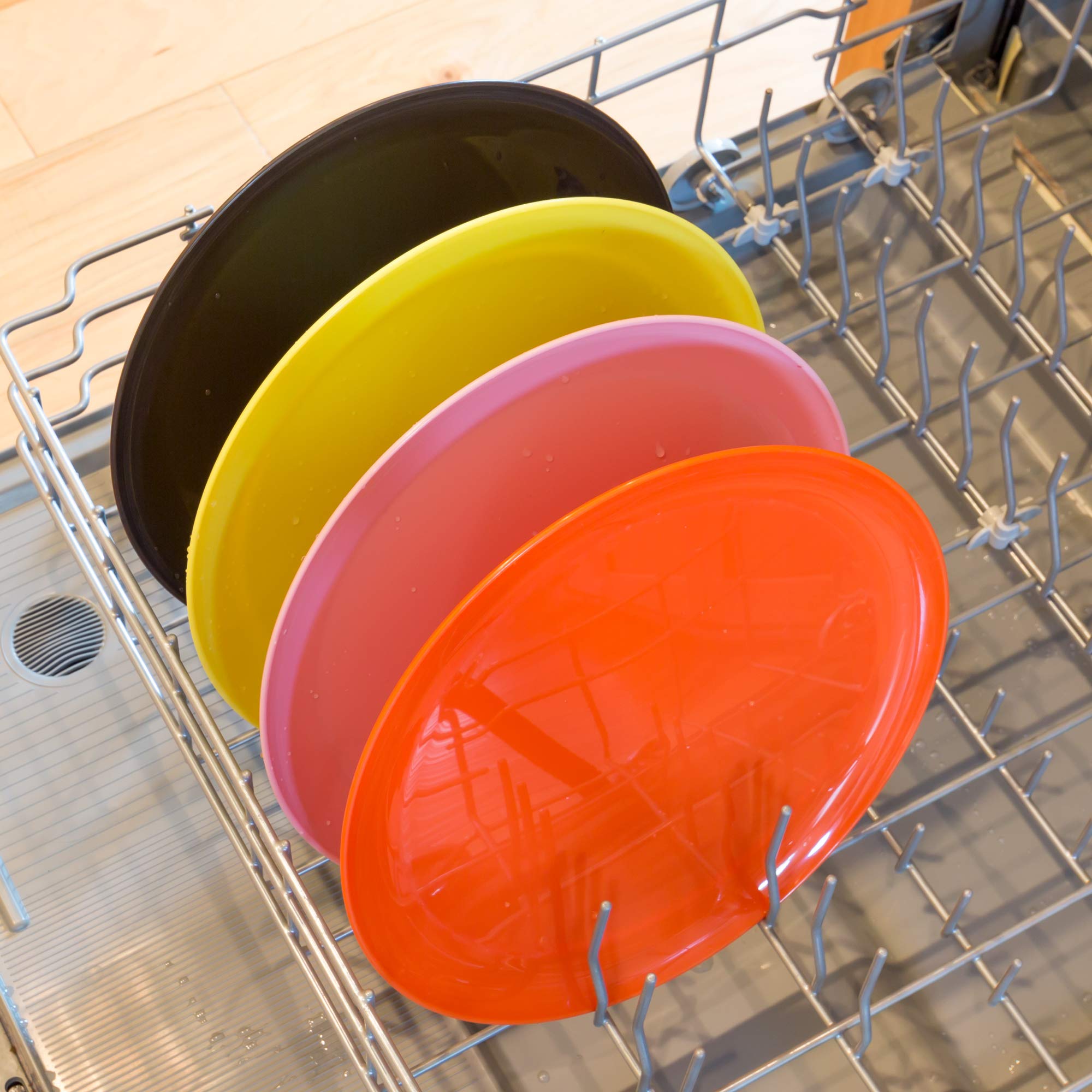 Youngever 10 Inch Plastic Plates, Large Plates, Dinner Plates, Set of 9