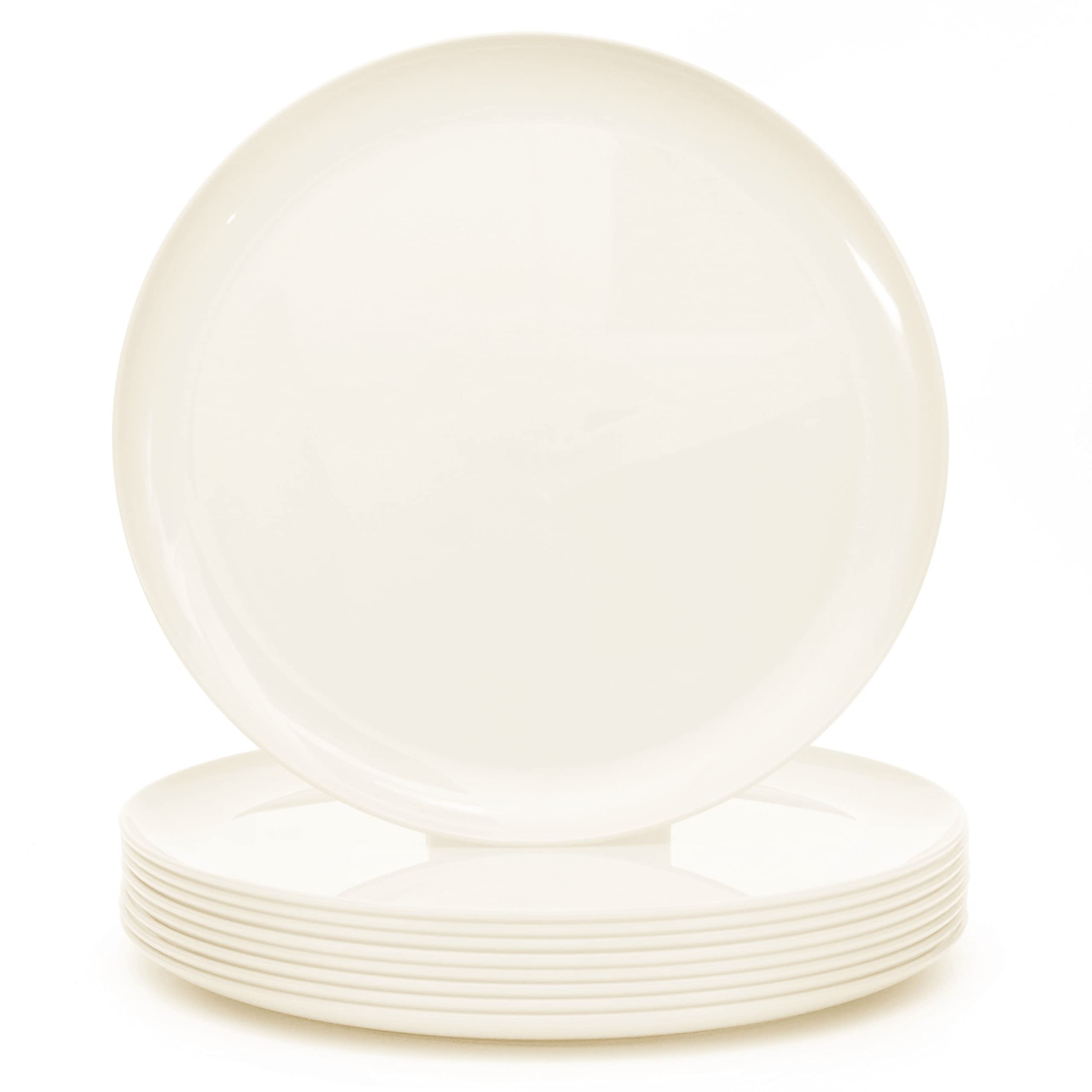 Youngever 10 Inch Plastic Plates, Large Plates, Dinner Plates, Set of 9