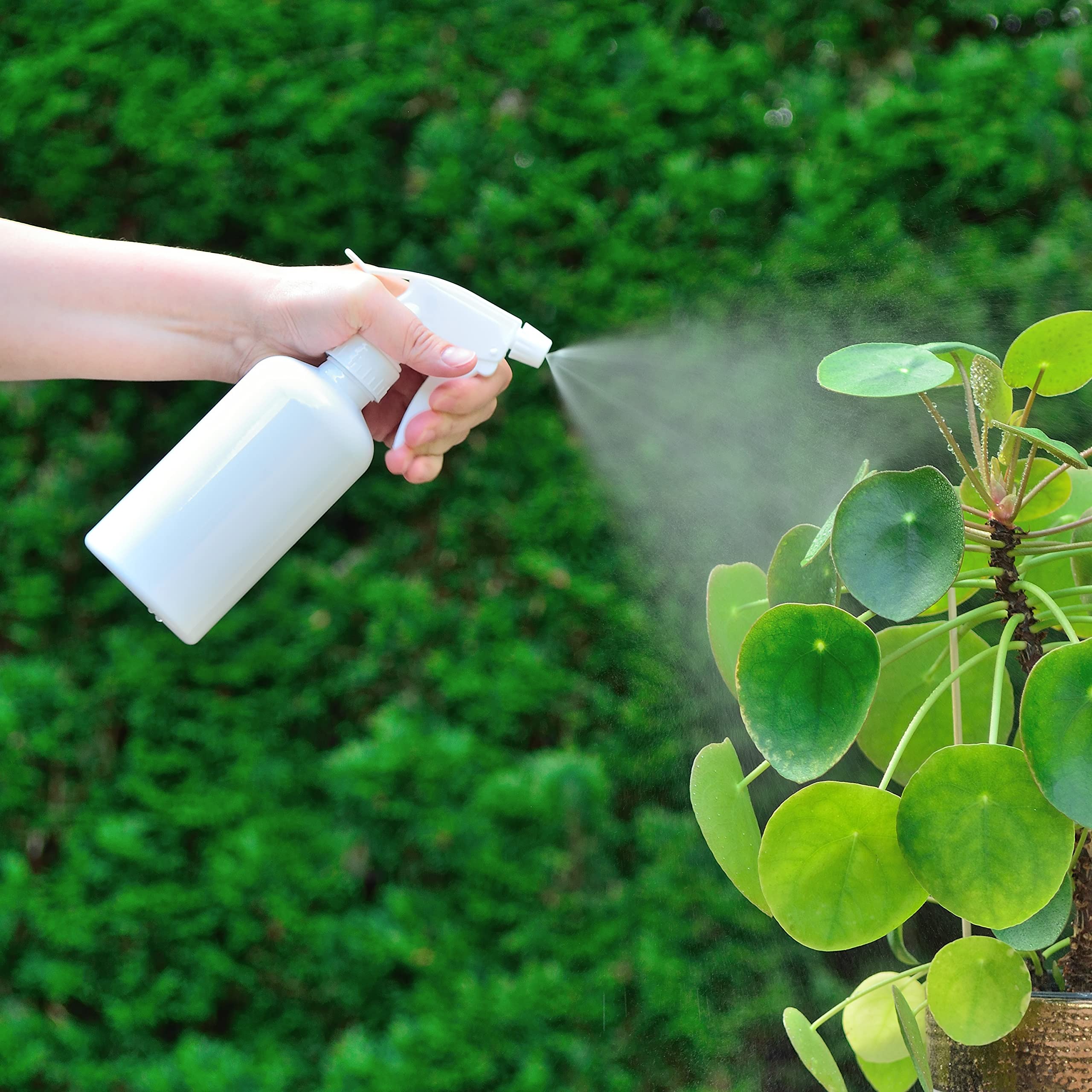 Youngever 6 Pack White Plastic Spray Bottles, Spray Bottles for Hair and Cleaning Solutions