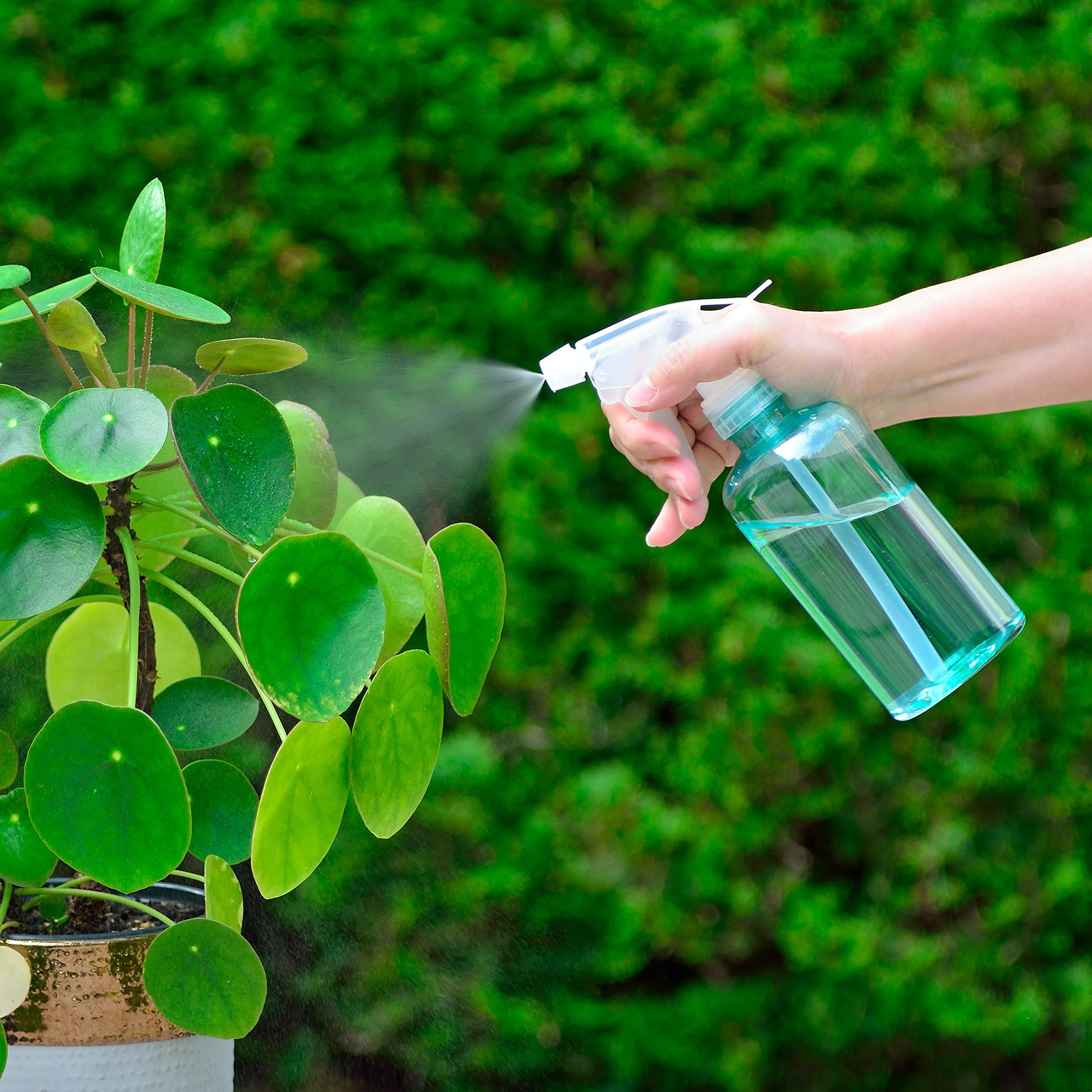 Youngever 6 Pack Empty Plastic Spray Bottles, Color Spray Bottles for Hair and Cleaning Solutions