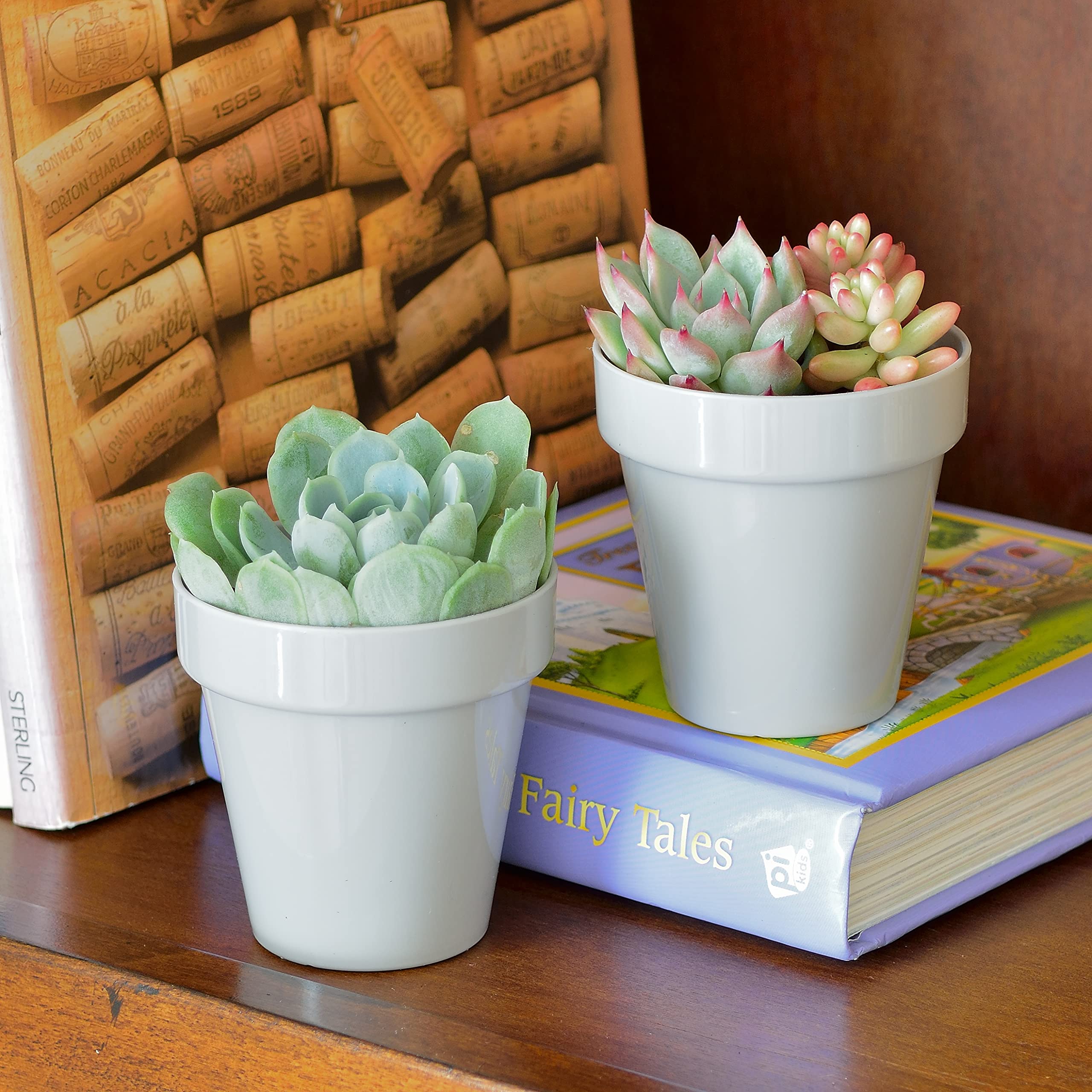 Youngever 10 Pack 3 Inch Mini Plastic Planters Indoor Flower Plant Pots, Grey Gardening Pot with Drainage for All House Plants, Flowers, Herbs, Succulents, NO Plant Included