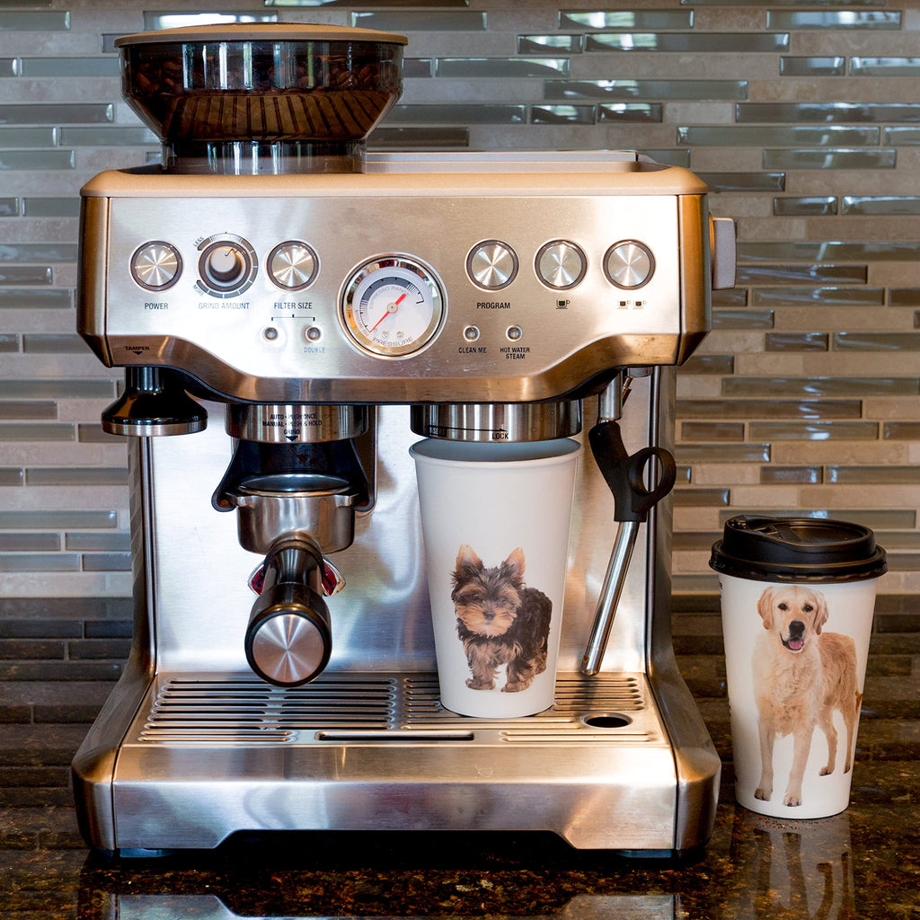 Youngever 72 Sets Disposable Coffee Cups with Lids, To Go Hot Coffee Cups, Durable Paper Cups with Lids