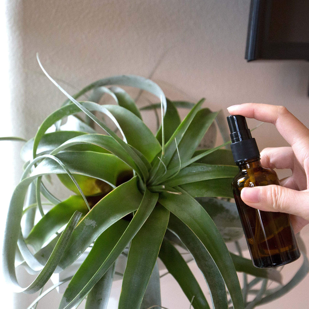 Youngever 10 Pack Empty Amber Glass Spray Bottles, 4 Ounce Refillable Container for Essential Oils, Cleaning Products, or Aromatherapy