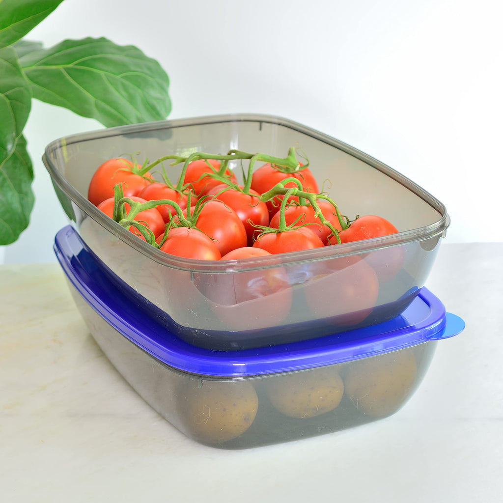 Youngever 2 Pack Extra Large Food Storage Containers