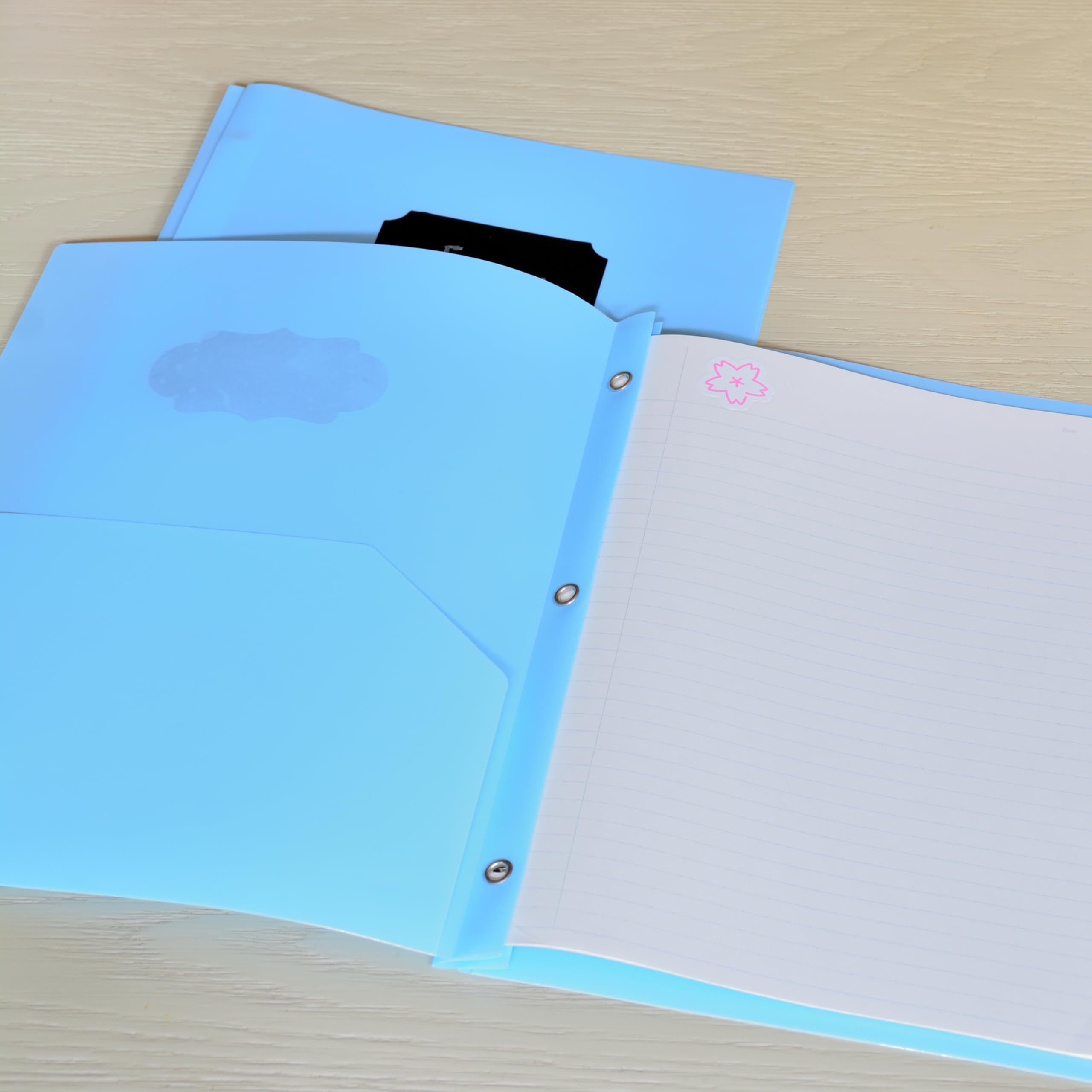 Youngever 6 Pack Heavy Duty Plastic Two Pocket Folders with 3 Prongs, Metal Prongs Fastener, Heavy Duty Plastic 2 Pocket Folder
