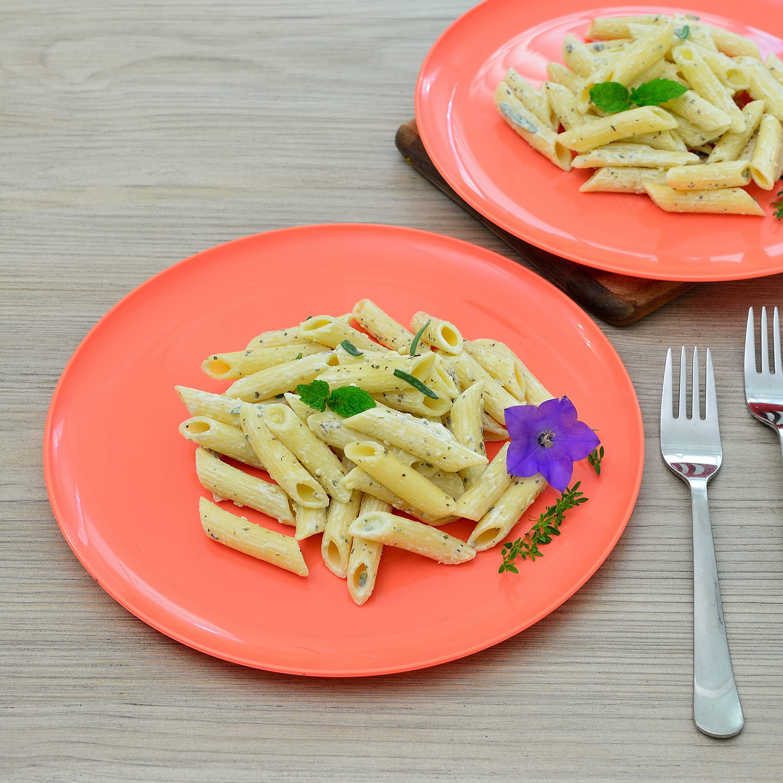 Youngever 10 Inch Plastic Plates, Large Plates, Dinner Plates, Set of 9