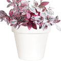 Youngever 6 Pack 7.5 Inch Plastic Planters Indoor Flower Plant Pots, Modern Decorative Gardening Pot with Drainage for All House Plants, Flowers, Herbs