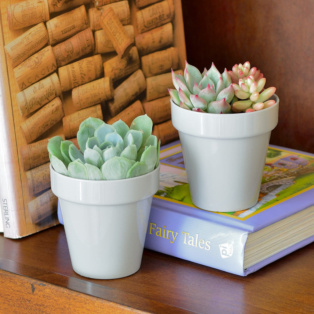 Youngever 10 Pack 3 Inch Mini Plastic Planters Indoor Flower Plant Pots, Grey Gardening Pot with Drainage for All House Plants, Flowers, Herbs, Succulents, NO Plant Included