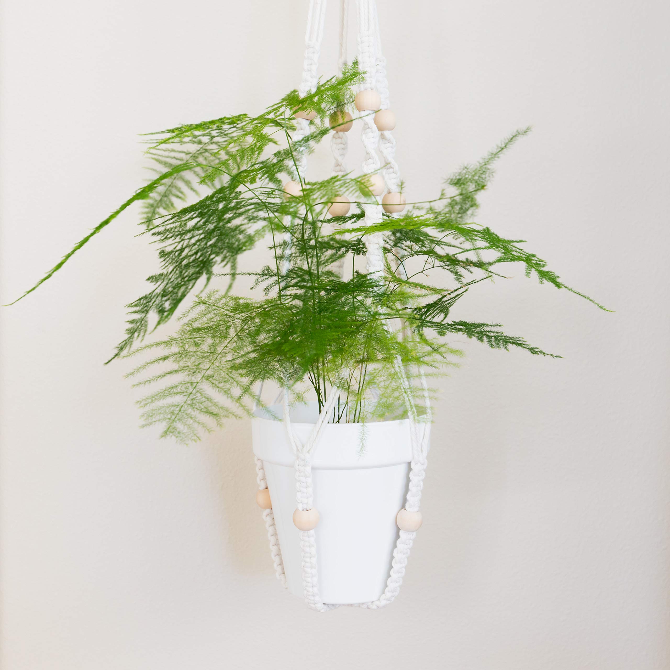 Youngever 8 Pack 5.5 Inch Plastic Planters Indoor Flower Plant Pots, Classic Decorative Gardening Pot with Drainage Holes