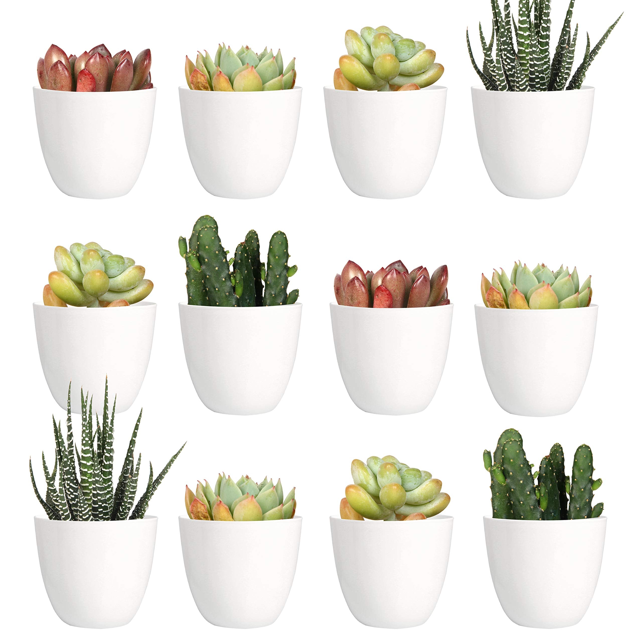 Youngever 24 Pack 2 Inch Mini Plastic Planters, Indoor Flower Plant Pots, White Gardening Pot with Drainage - NO Plant Included
