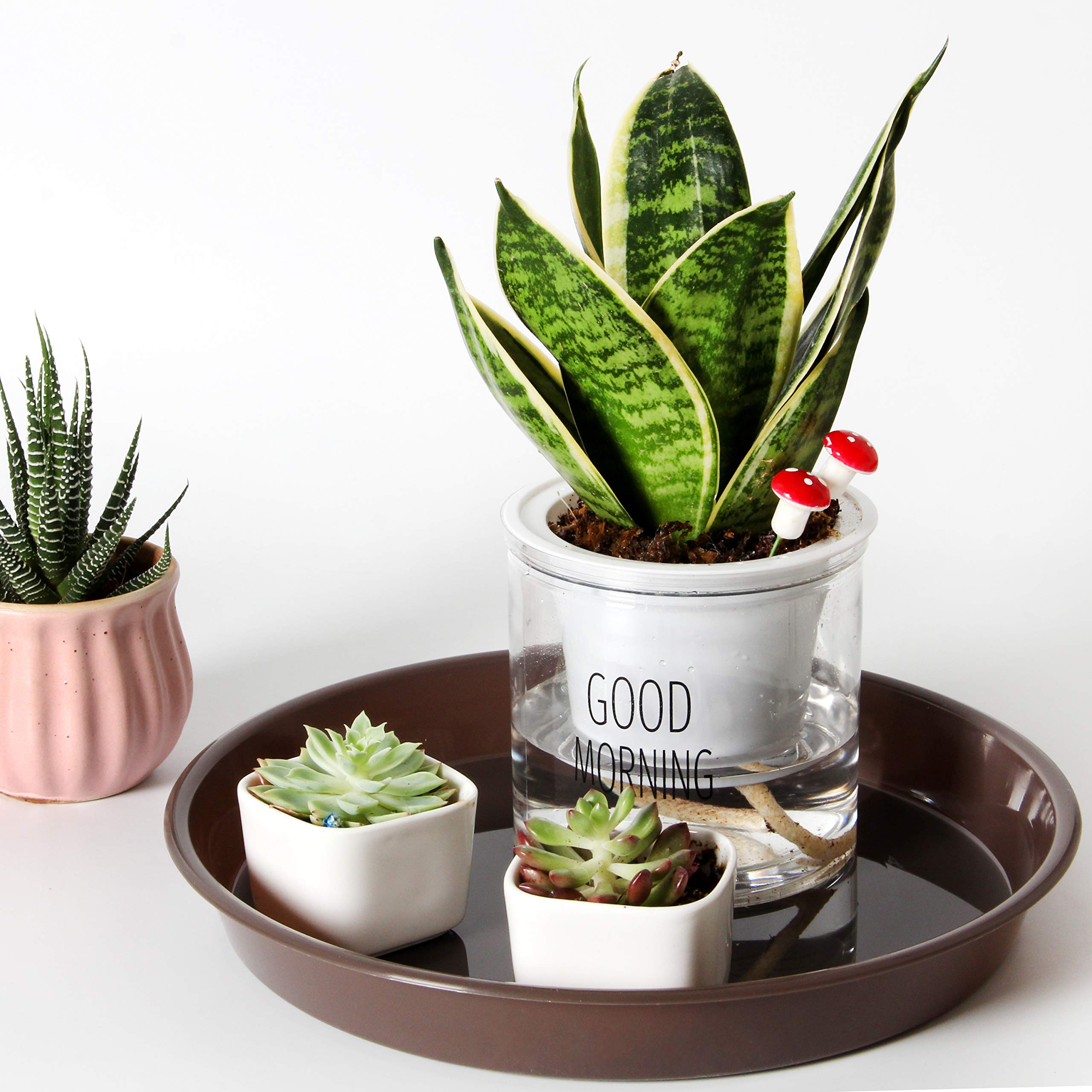 Youngever 10 Pack 10 Inch Plastic Plant Saucers, Thick and Heavy Duty Plastic Saucer Flowerpot Trays, Excellent for Indoor and Outdoor Plants