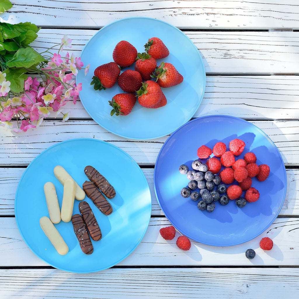 Youngever 8 Inch Plastic Plates, Small Plates, Salad Plates, Dessert Plates, Set of 9