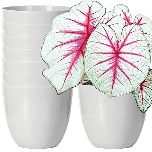 Youngever 7 Pack 6.5 Inch Plastic Planters Indoor Flower Plant Pots, Modern Decorative Gardening Pot with Drainage for All House Plants, Flowers, Herbs, Succulents and Hanging Plants