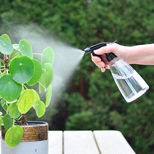 Youngever 6 Pack Clear Empty Plastic Spray Bottles, Spray Bottles for Hair and Cleaning Solutions