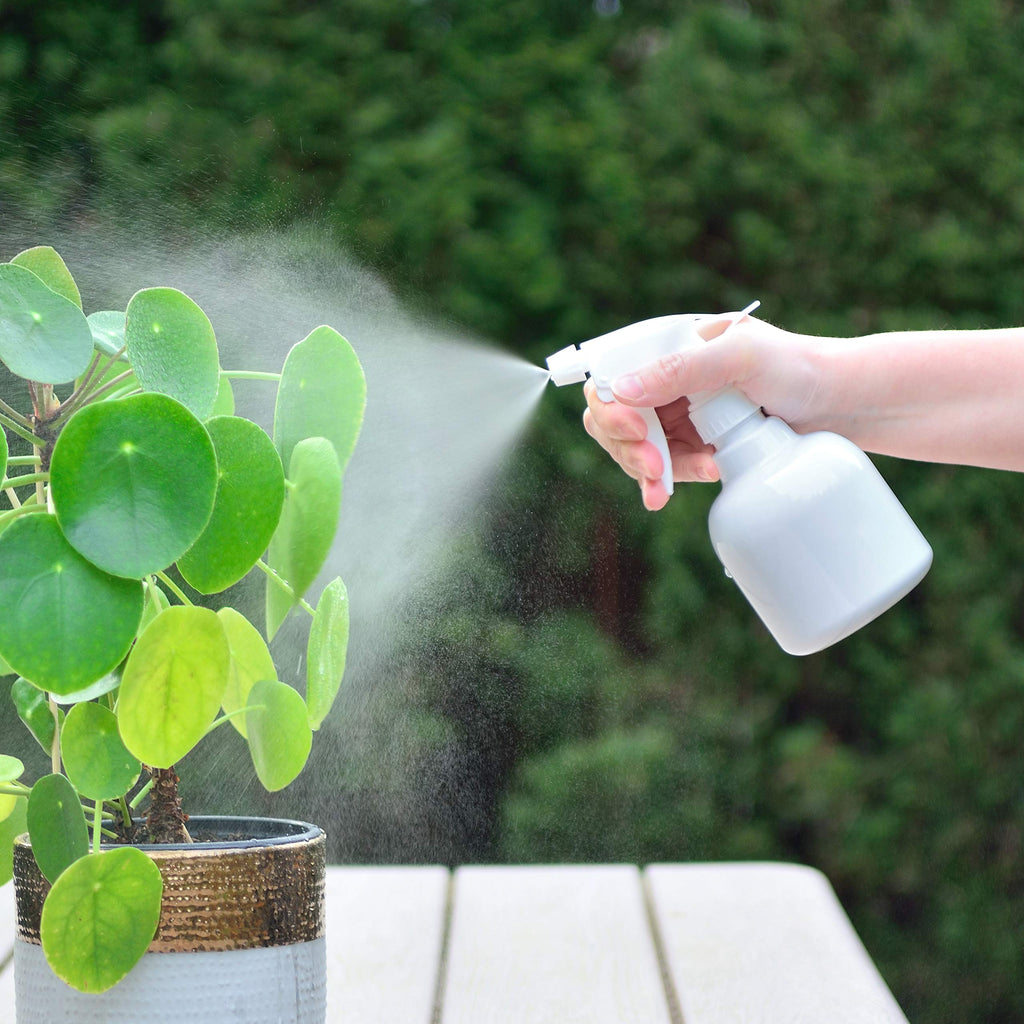 Youngever 6 Pack Empty Plastic Spray Bottles, White Spray Bottles for Hair and Cleaning Solutions