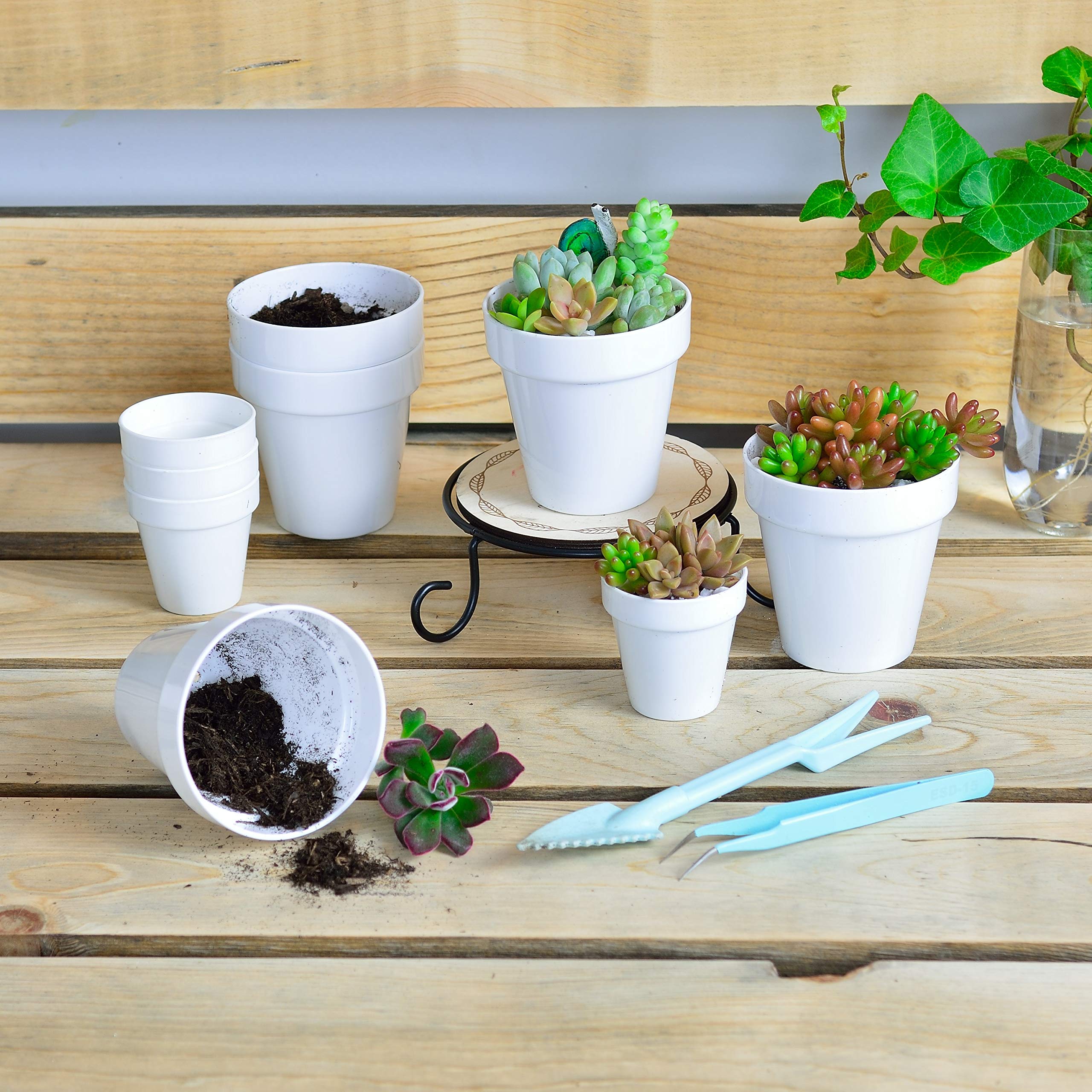 Youngever 24 Pack 2 Inch Mini Plastic Planters, Indoor Flower Plant Pots, White Gardening Pot with Drainage - NO Plant Included