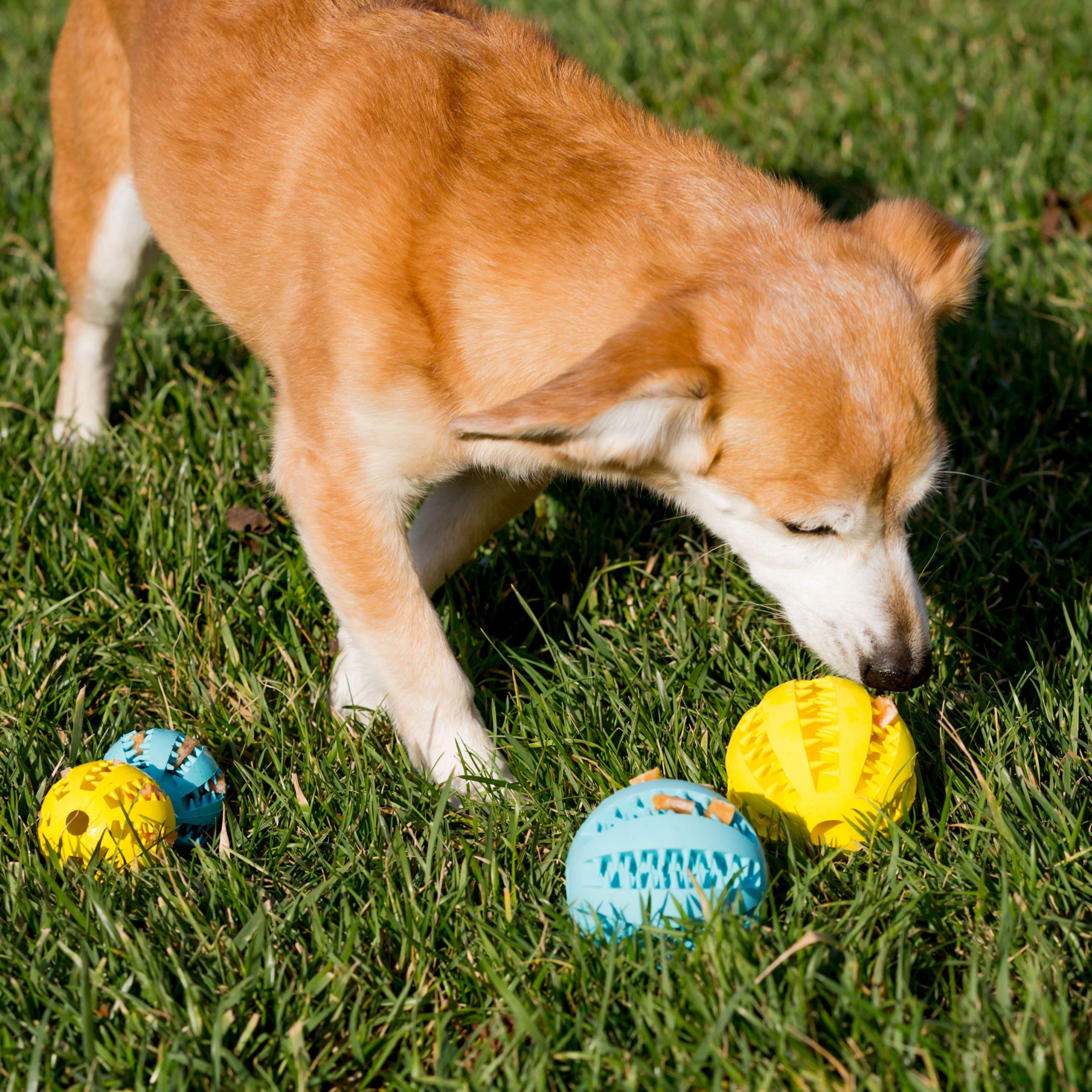 Youngever 2 Pack Dog Ball Toys for Pet Tooth Cleaning, Chewing, Fetching, Treat Ball Food Dispensing Toys