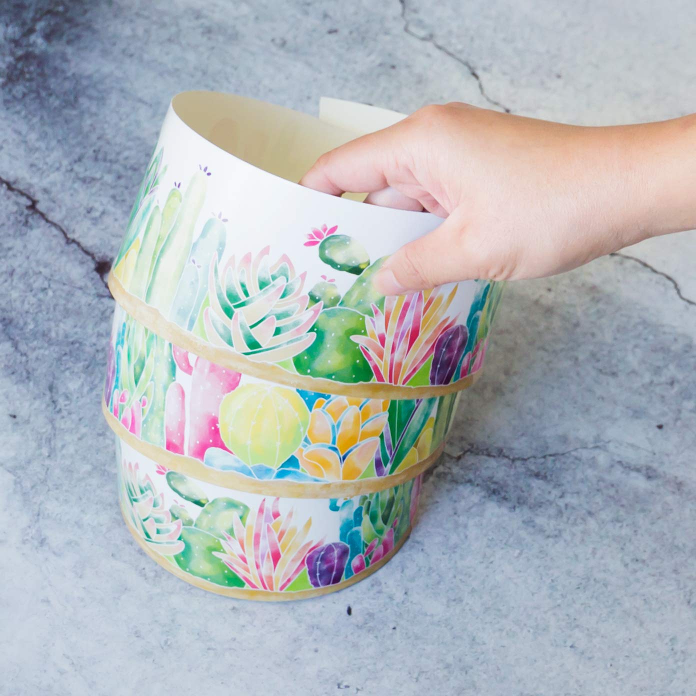 Youngever 52.5 ft Straight Border Trim, Bulletin Board Borders, Cactus Design