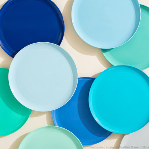 Youngever 10 Inch Plastic Plates, Large Plates, Dinner Plates, Set of 9