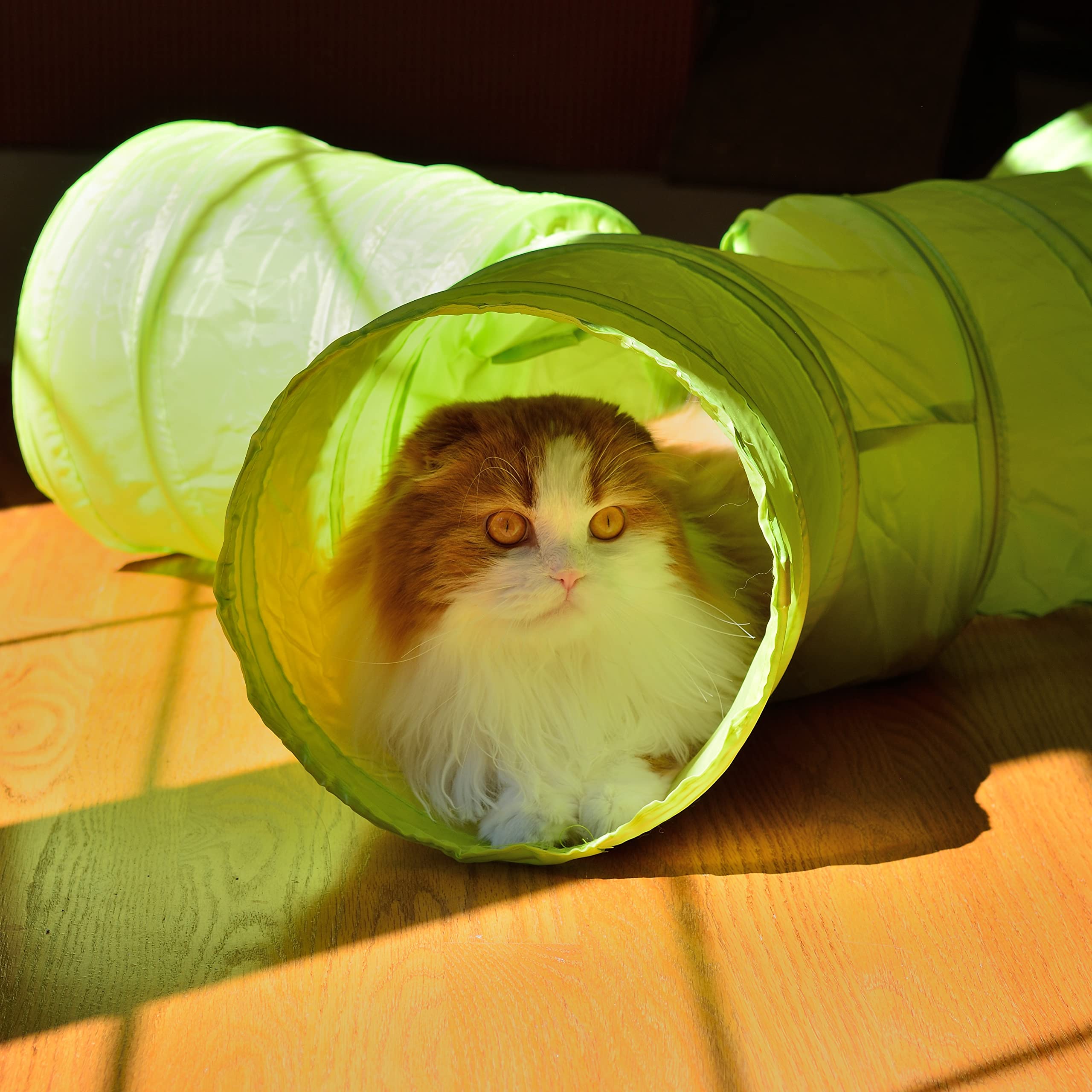 Youngever Cat Tube Toy - 4 Ways Kitty Tunnel for Cats