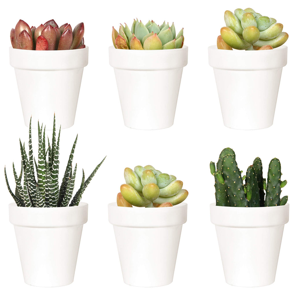 Youngever 10 Pack 3 Inch Mini Plastic Planters Indoor Flower Plant Pots, White Gardening Pot with Drainage for All House Plants, Flowers, Herbs, Succulents, NO Plant Included