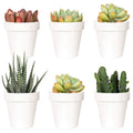 Youngever 10 Pack 3 Inch Mini Plastic Planters Indoor Flower Plant Pots, White Gardening Pot with Drainage for All House Plants, Flowers, Herbs, Succulents, NO Plant Included