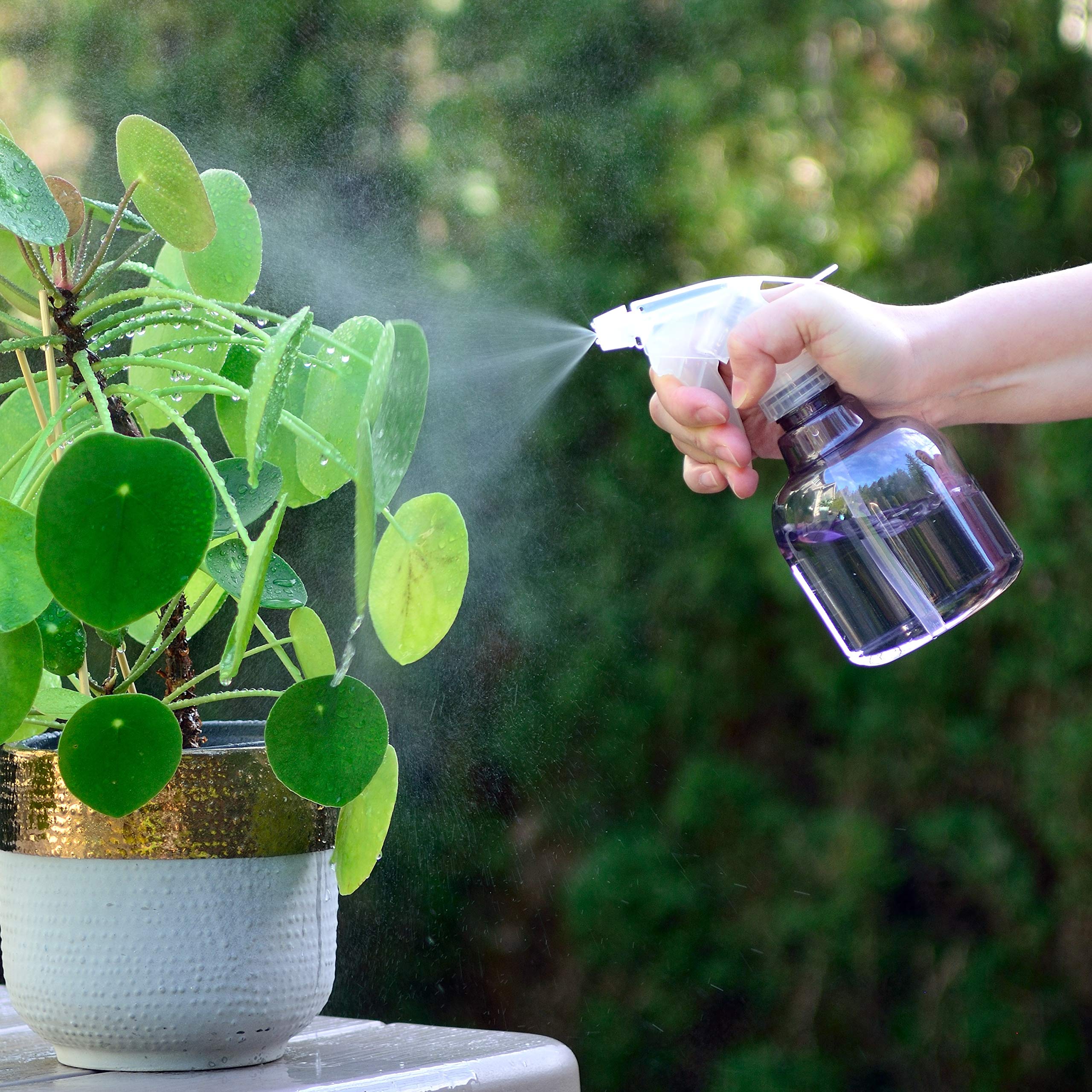 Youngever 6 Pack 8 Ounce Empty Plastic Spray Bottles