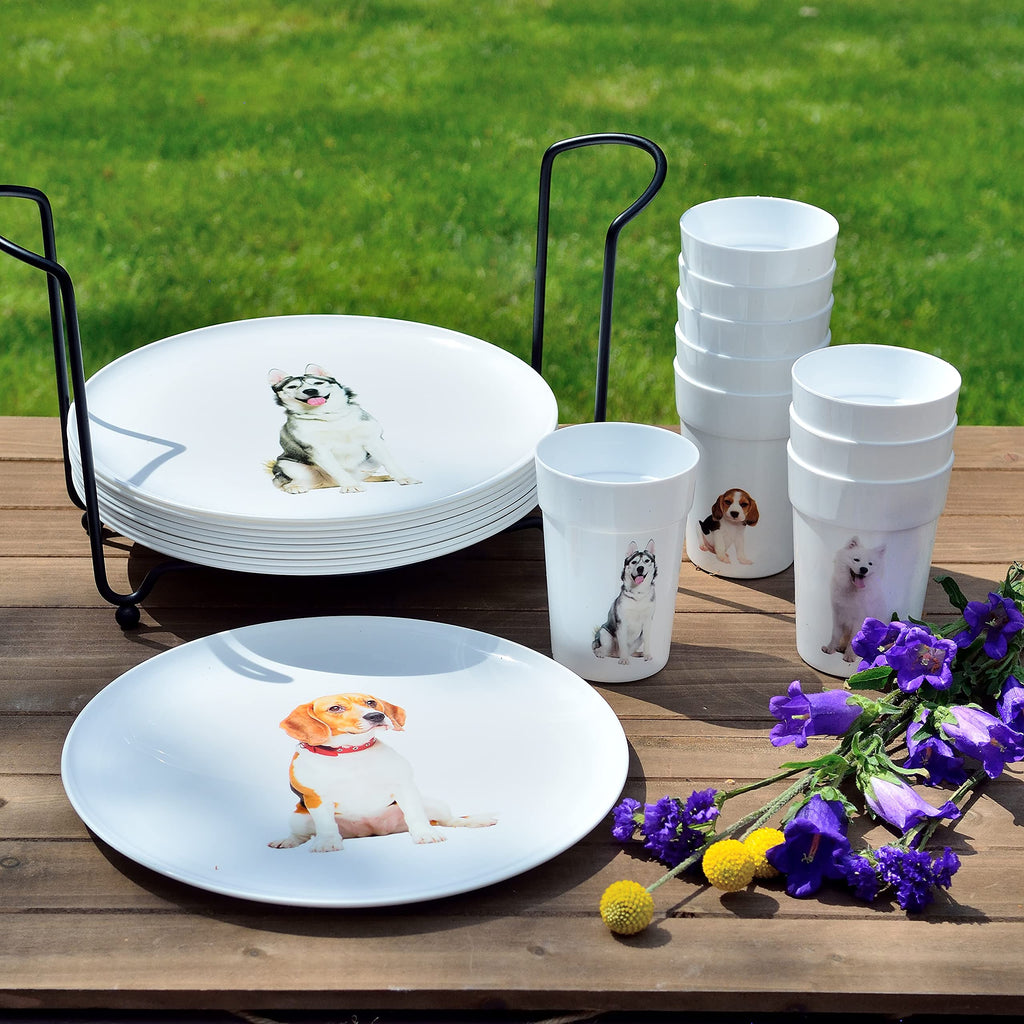 Youngever 10 Inch Plastic Plates, Large Plates, Dinner Plates, Set of 9