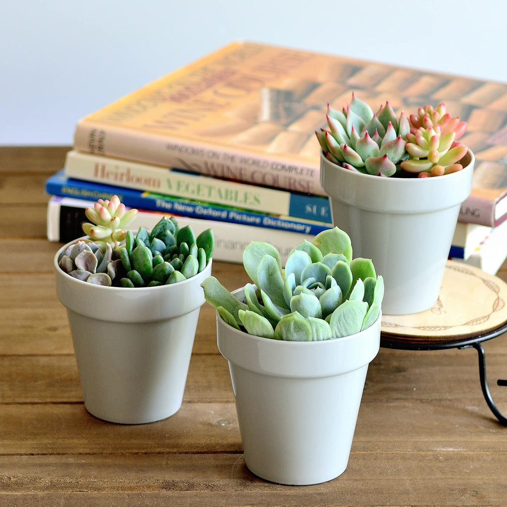 Youngever 10 Pack 3 Inch Mini Plastic Planters Indoor Flower Plant Pots, Grey Gardening Pot with Drainage for All House Plants, Flowers, Herbs, Succulents, NO Plant Included