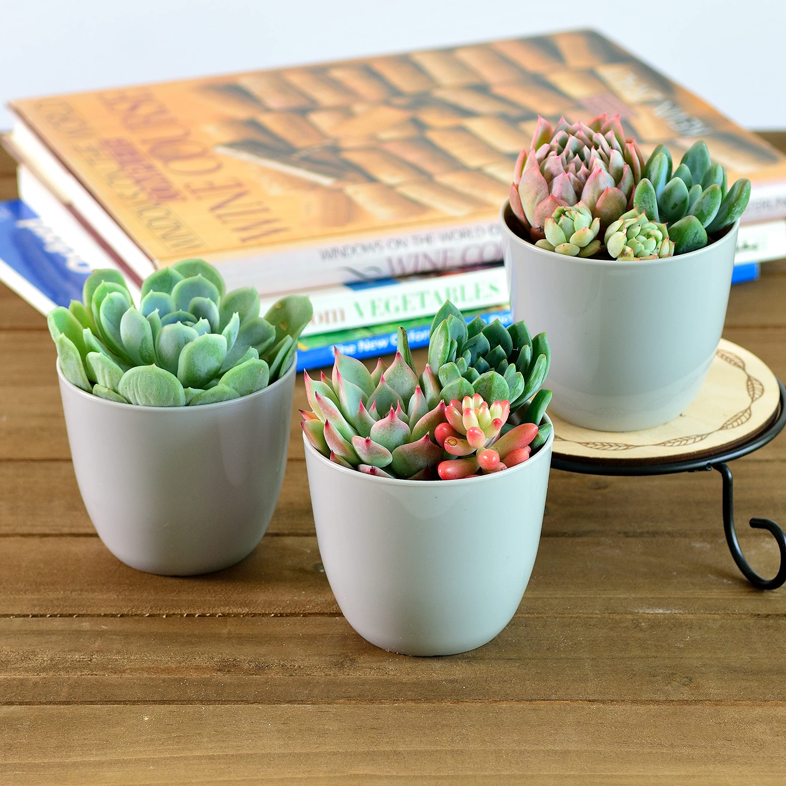 Youngever 10 Pack 3 Inch Mini Plastic Planters Indoor Flower Plant Pots, Grey Gardening Pot with Drainage for All House Plants, Flowers, Herbs, Succulents, NO Plant Included