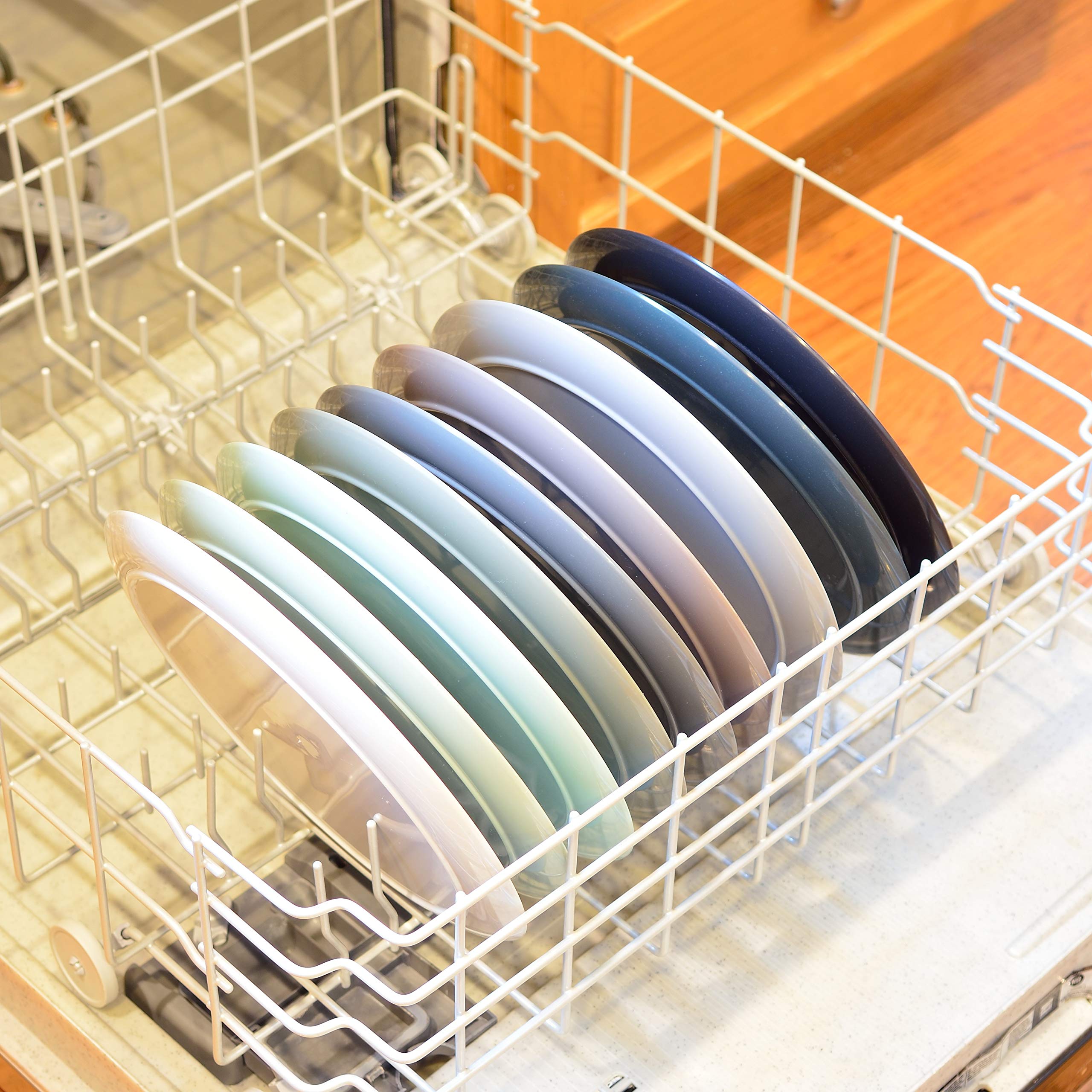 Youngever 10 Inch Plastic Plates, Large Plates, Dinner Plates, Set of 9