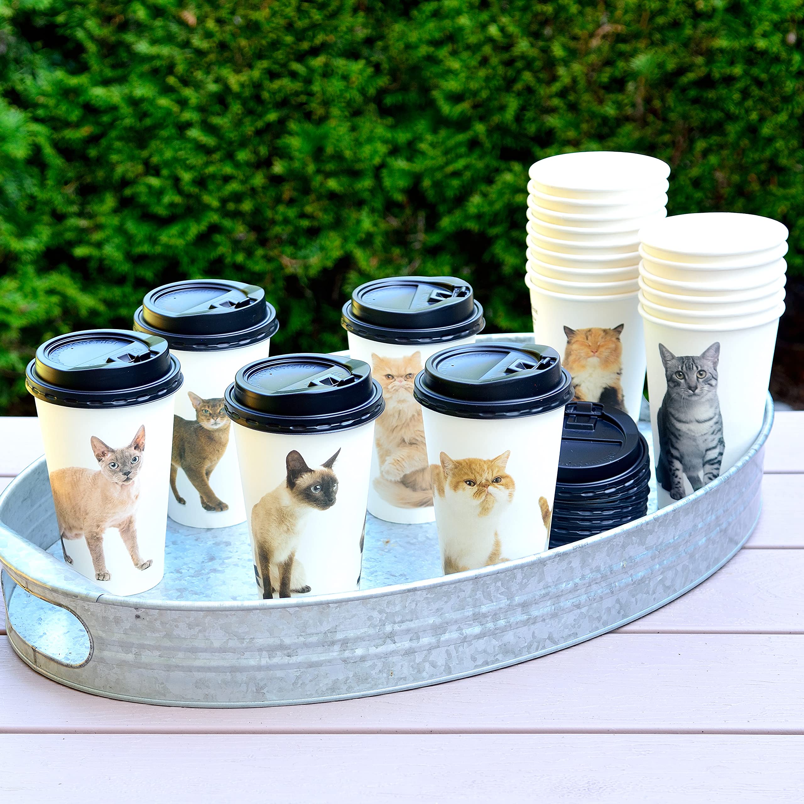 Youngever 72 Sets Disposable Coffee Cups with Lids, To Go Hot Coffee Cups, Durable Paper Cups with Lids