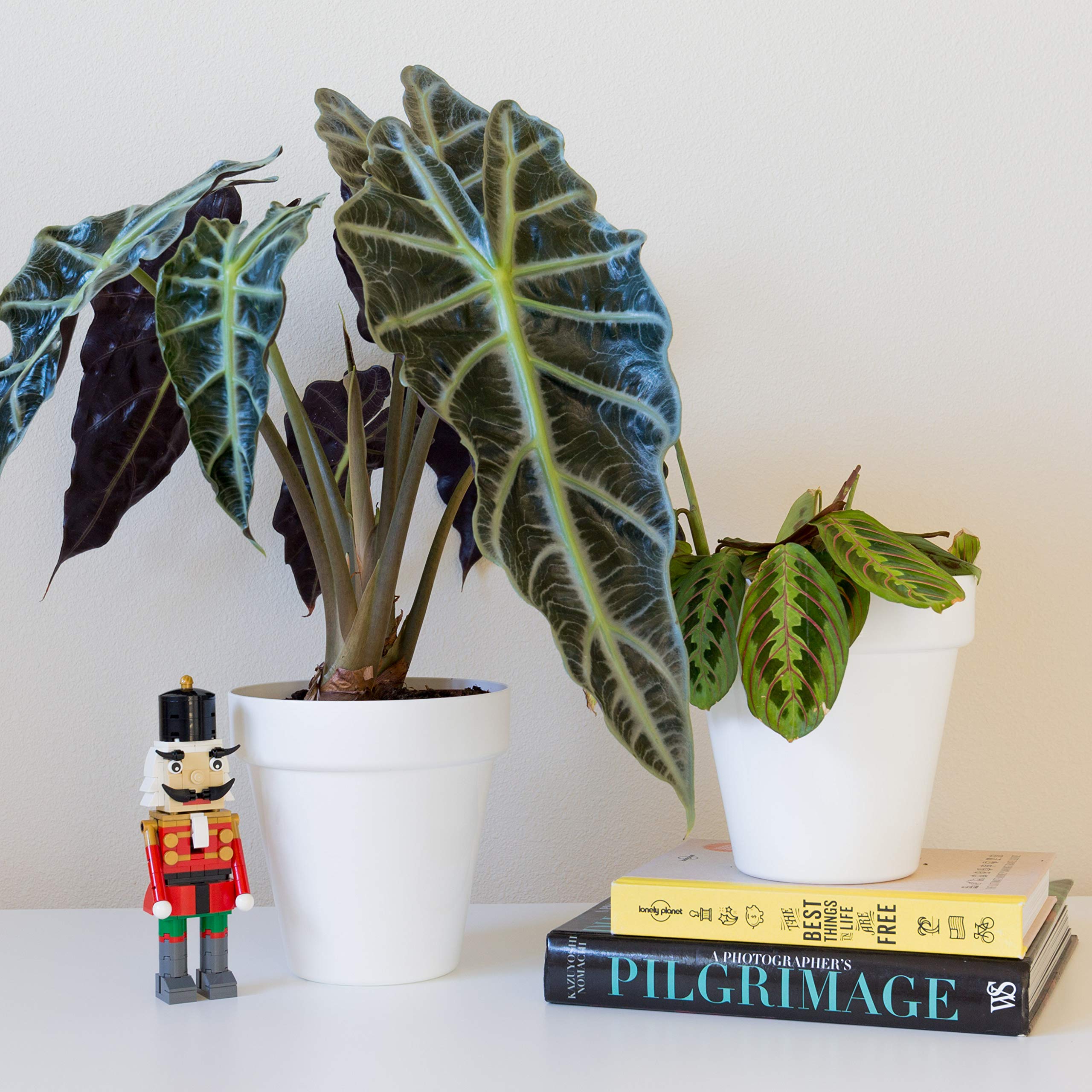 Youngever 7 Pack 6.5 Inch Plastic Planters, Indoor Flower Plant Pots, Classic Decorative Gardening Pot with Drainage