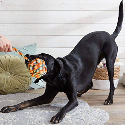 Youngever 6 Pack Dog Rope Toys, Puppy Chew Toys Dog Toys for Medium to Large Dogs