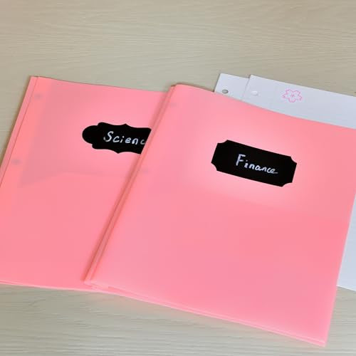 Youngever 6 Pack Heavy Duty Plastic Two Pocket Folders with 3 Prongs, Metal Prongs Fastener, Heavy Duty Plastic 2 Pocket Folder